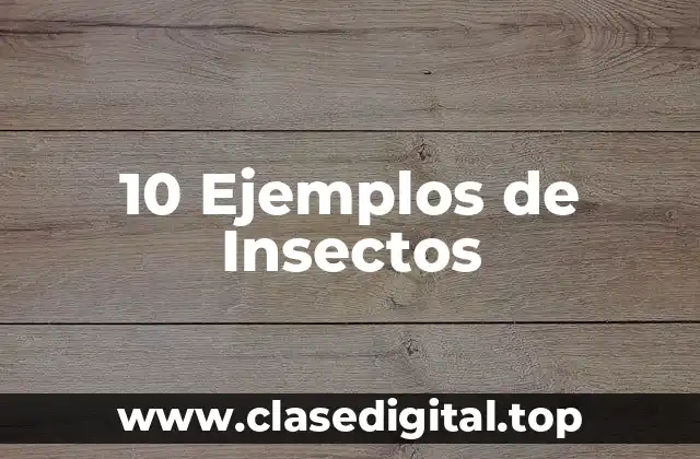 10 Ejemplos de Insectos