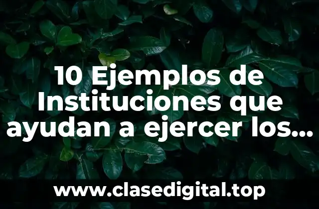 10 Ejemplos de Instituciones que ayudan a ejercer los derechos