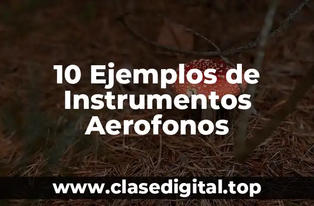 10 Ejemplos de Instrumentos Aerofonos