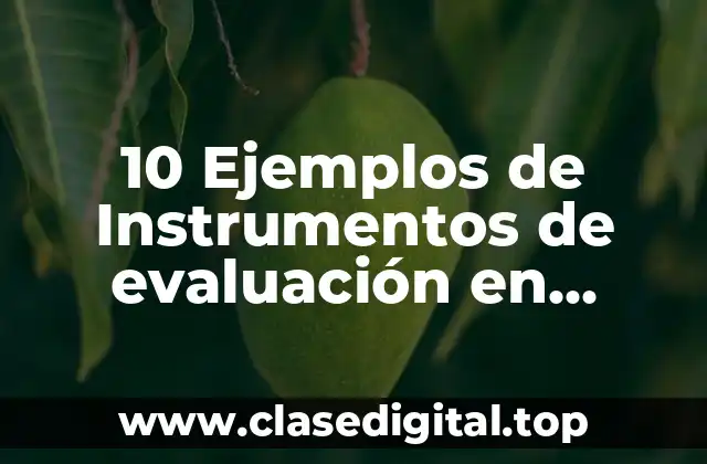 10 Ejemplos de Instrumentos de evaluación en educación secundaria constructivistas