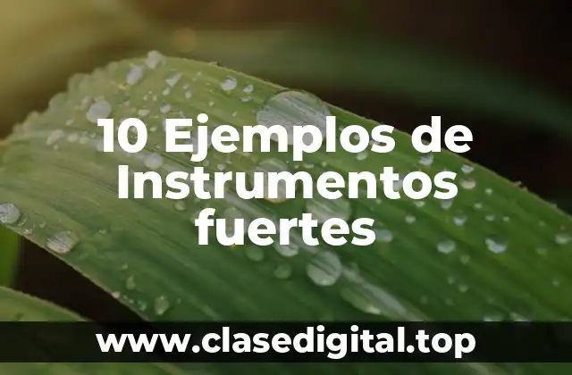 10 Ejemplos de Instrumentos fuertes