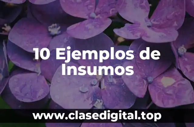 10 Ejemplos de Insumos