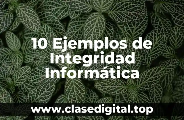 10 Ejemplos de Integridad Informática