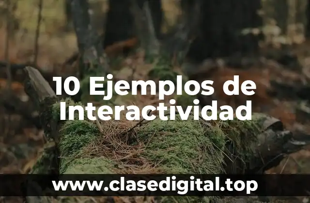 10 Ejemplos de Interactividad