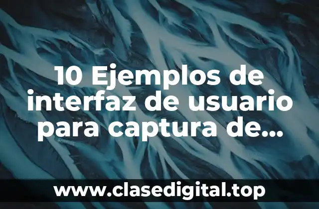 10 Ejemplos de interfaz de usuario para captura de información