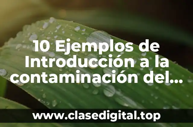 10 Ejemplos de Introducción a la contaminación del agua