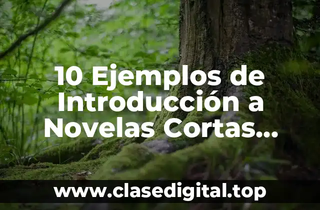 10 Ejemplos de Introducción a Novelas Cortas Señalando Introducción, Desarrollo, Clímax y Desenlace