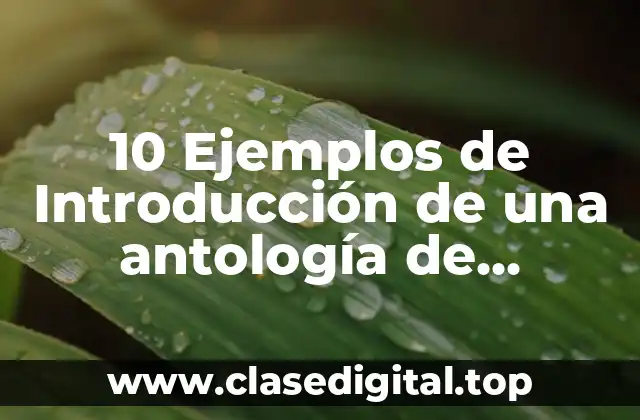 10 Ejemplos de Introducción de una antología de cuentos navideños