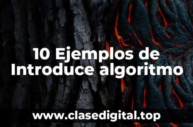 10 Ejemplos de Introduce algoritmo