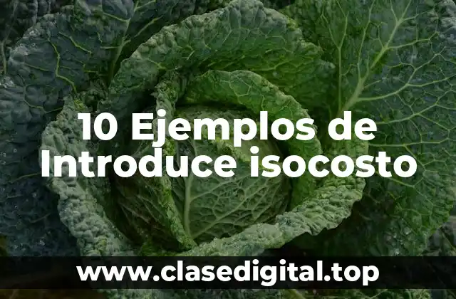 10 Ejemplos de Introduce isocosto