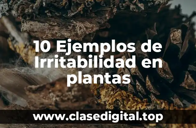 10 Ejemplos de Irritabilidad en plantas