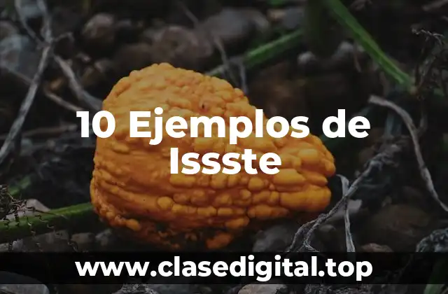 10 Ejemplos de Issste