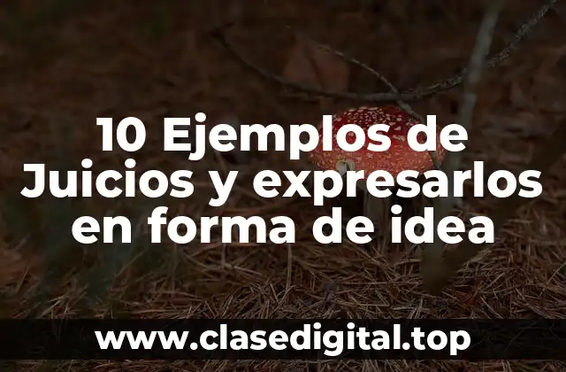 10 Ejemplos de Juicios y expresarlos en forma de idea