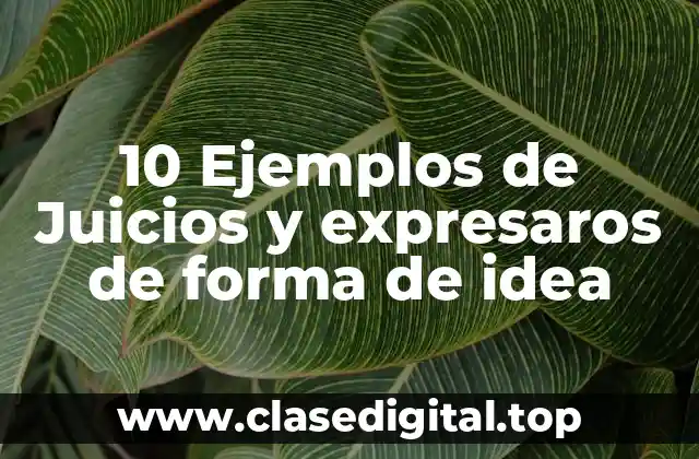 10 Ejemplos de Juicios y expresaros de forma de idea