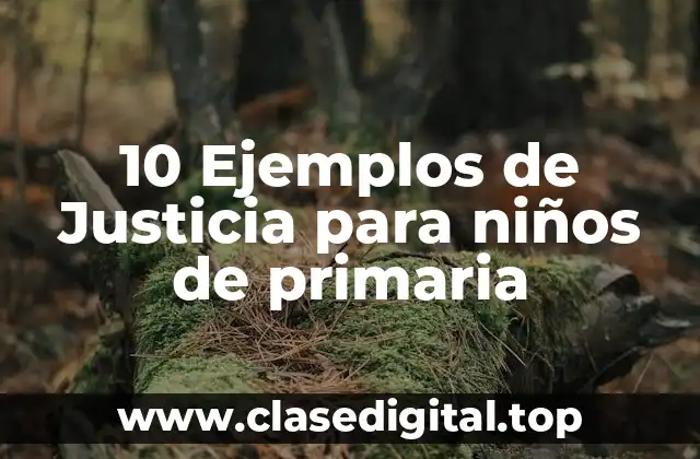 10 Ejemplos de Justicia para niños de primaria