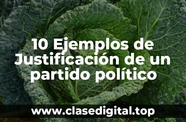 10 Ejemplos de Justificación de un partido político