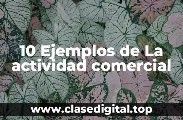 Ejemplos de actividad comercial