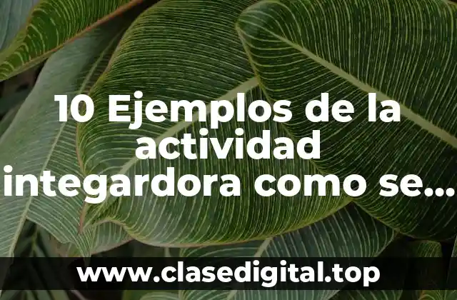 10 Ejemplos de la actividad integardora como se confroma el estado