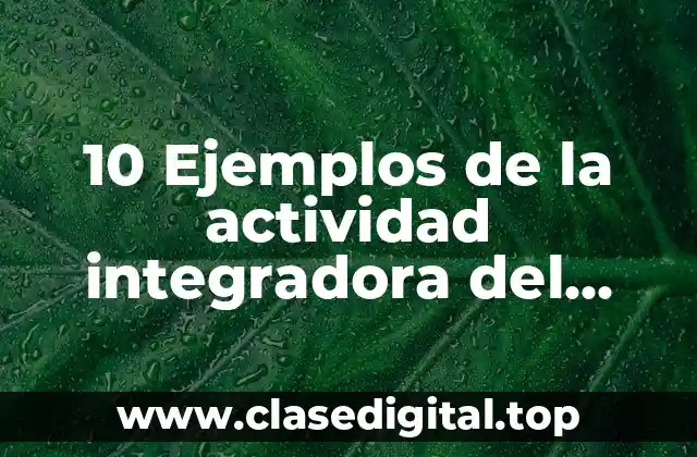 10 Ejemplos de la actividad integradora del m5_u1_s1