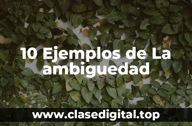 10 Ejemplos de La ambiguedad