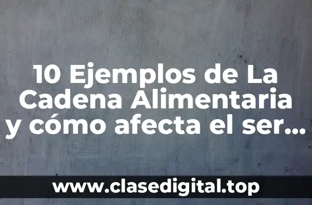 10 Ejemplos de La Cadena Alimentaria y cómo afecta el ser humano