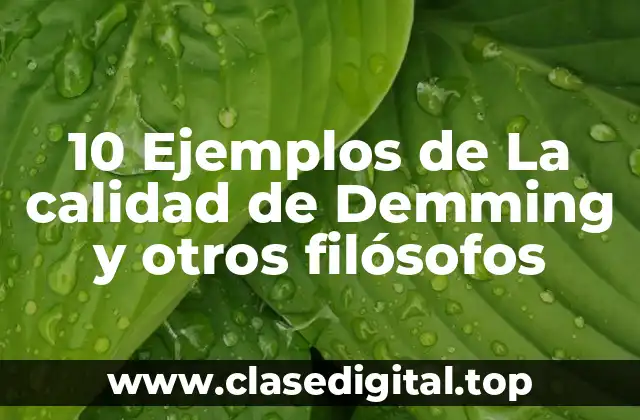 10 Ejemplos de La calidad de Demming y otros filósofos