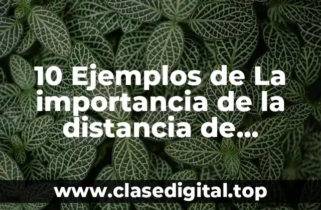 10 Ejemplos de La importancia de la distancia de detención