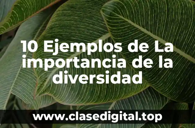 10 Ejemplos de La importancia de la diversidad