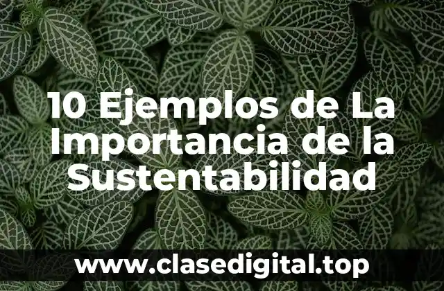 10 Ejemplos de La Importancia de la Sustentabilidad