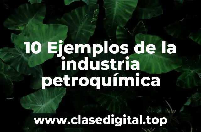 10 Ejemplos de la industria petroquímica