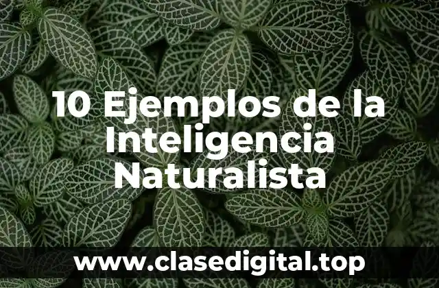 10 Ejemplos de la Inteligencia Naturalista