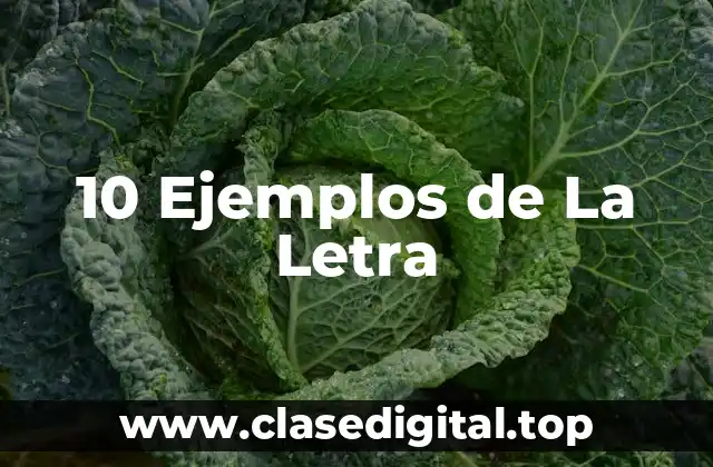 10 Ejemplos de La Letra