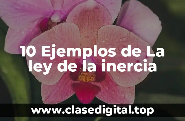 10 Ejemplos de La ley de la inercia