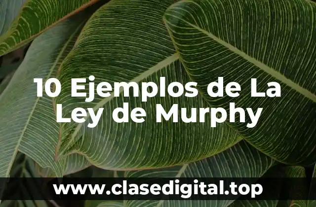 10 Ejemplos de La Ley de Murphy