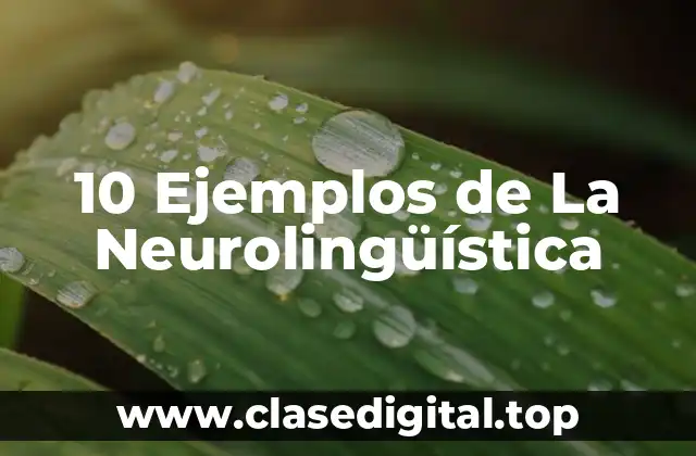 10 Ejemplos de La Neurolingüística