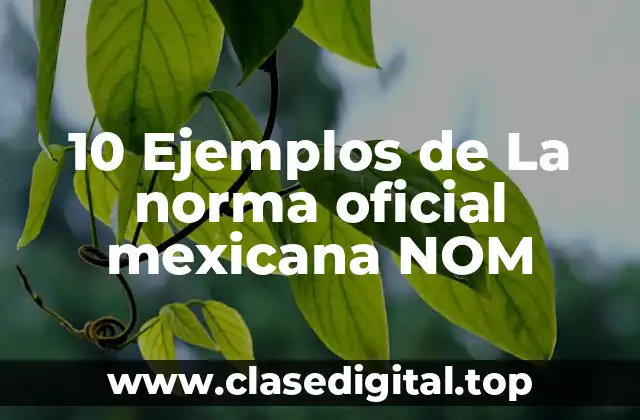 10 Ejemplos de La norma oficial mexicana NOM