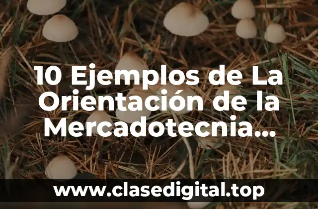 10 Ejemplos de La Orientación de la Mercadotecnia Social