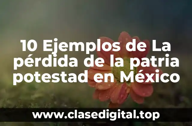 10 Ejemplos de La pérdida de la patria potestad en México