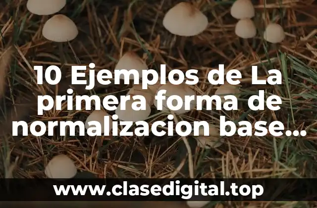 10 Ejemplos de La primera forma de normalizacion base de datos