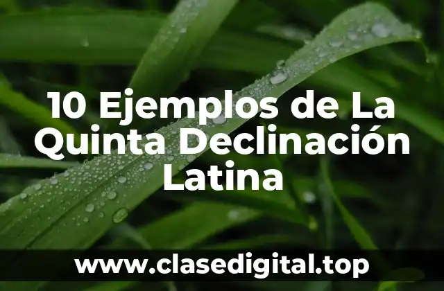 10 Ejemplos de La Quinta Declinación Latina
