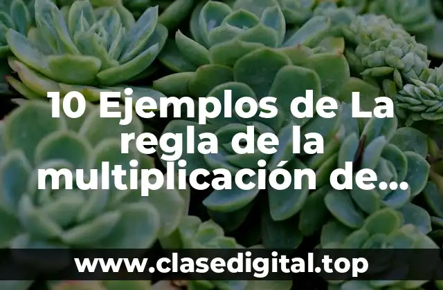 10 Ejemplos de La regla de la multiplicación de números enteros