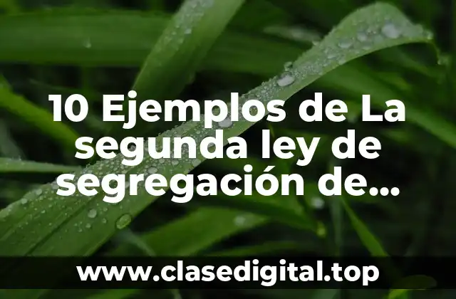 10 Ejemplos de La segunda ley de segregación de Mendel
