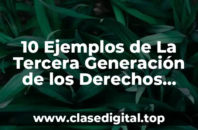 10 Ejemplos de La Tercera Generación de los Derechos Humanos