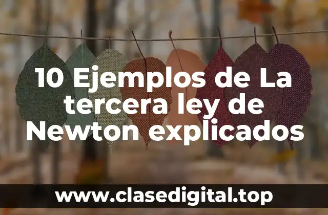 10 Ejemplos de La tercera ley de Newton explicados
