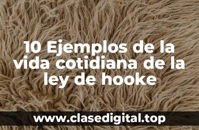 10 Ejemplos de la vida cotidiana de la ley de hooke