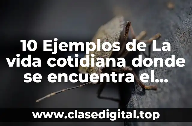 10 Ejemplos de La vida cotidiana donde se encuentra el positivismo