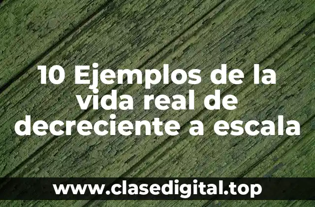 10 Ejemplos de la vida real de decreciente a escala