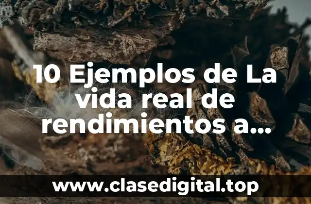 10 Ejemplos de La vida real de rendimientos a escala