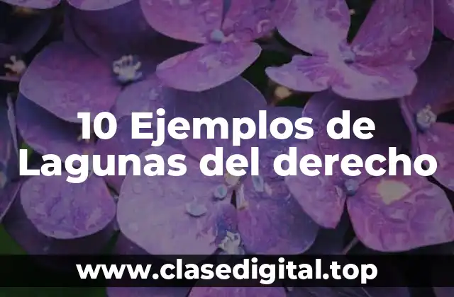 10 Ejemplos de Lagunas del derecho
