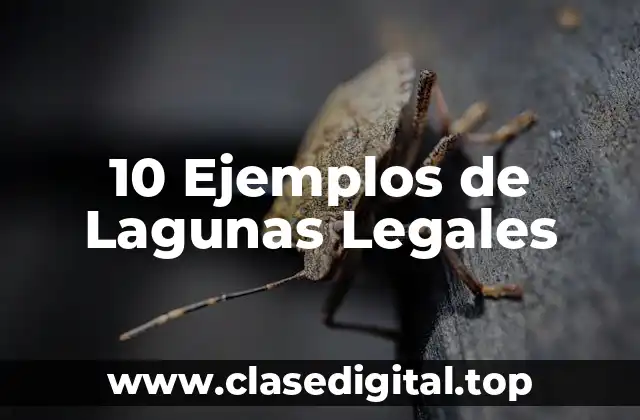 10 Ejemplos de Lagunas Legales